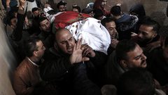 استشهدت "أمل" وبقي أمل العودة إلى هربيا حيًّا