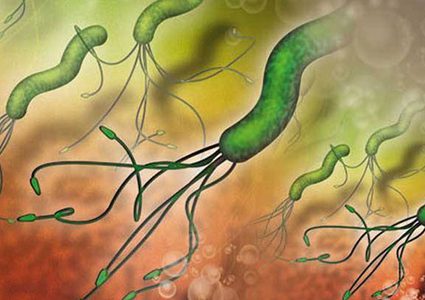 متى تصبح البكتيريا الذي تسكن امعائنا ضارة وقاتلة؟