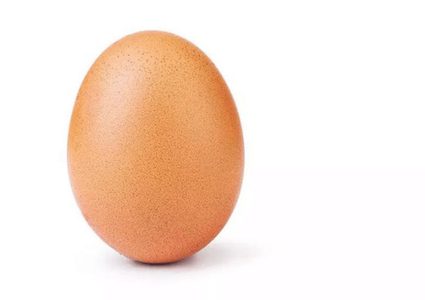 كيف حصدت صورة بيضة إعجابات تخطت 20 مليون بإنستغرام؟
