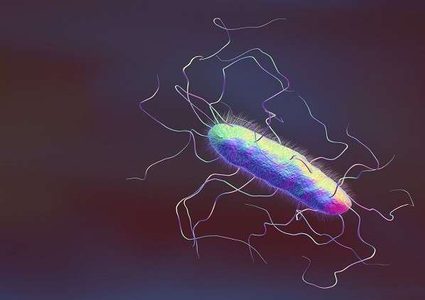 أمعاء الإنسان قد تكون منبع إنتاج للكهرباء!