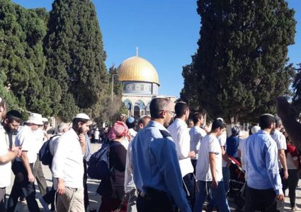 71 مستوطنا وعنصران من سلطة آثار الاحتلال يقتحمون الأقصى