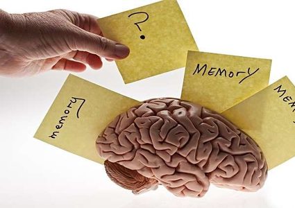 الدماغ البشري يعمل بشكل عكسي لاستعادة الذكريات!