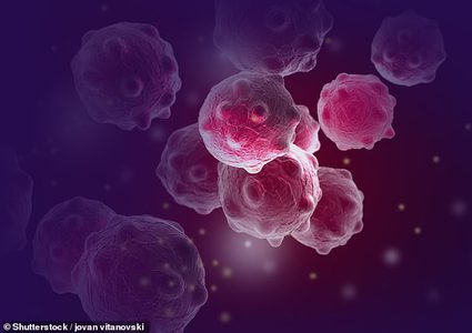 هل يمكن ايقاف الخلايا السرطانية بتحويلها الى خلايا دهنية