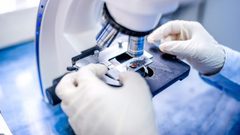 العلماء يحولون خلايا سرطان الثدي إلى خلايا دهنية