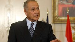 أبو الغيط: سوريا ستعود للجامعة العربية لا محالة
