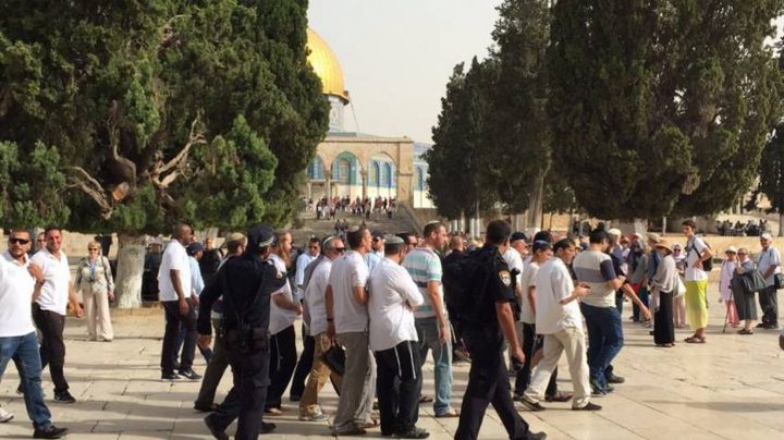 69 مستوطنا وطالبا تلموديا يقتحمون المسجد الأقصى