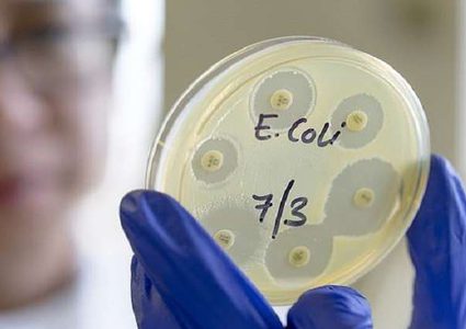 ابتكار أول "دواء حي"!