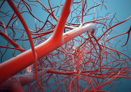 نجاح زراعة أوعية دموية بشرية في المختبر لأول مرة