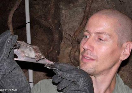 الخفاش مصاص الدماء.. وفوائد غير متوقعة للبشر