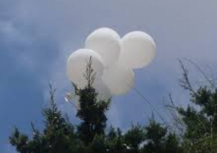 يديعوت : سقوط بالون حارق أطلق من غزة وسقط بسديروت