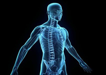 صور: 4 أعضاء في جسم الإنسان لم يعد لها فائدة