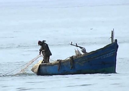 الكشف عن مصير الصيادين المفقودين شمال سيناء