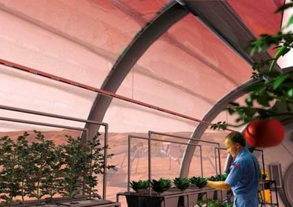 الصين تجري أولى تجارب الزراعة على سطح القمر