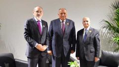 سعي لتأسيس سوق عربية مشتركة للكهرباء