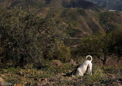 تضاؤل فرص نجاة "طفل الحفرة" على عمق 110 أمتار