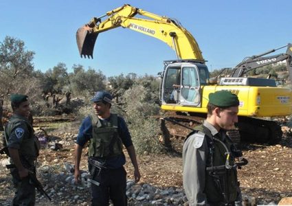 الاحتلال يقتلع 60 شجرة زيتون من أراضي قرية جبع شرق القدس