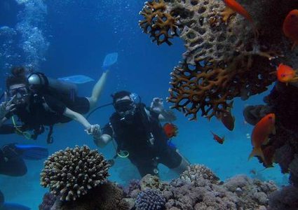 البحرين تستحدث أكبر متنزه للغطس في العالم