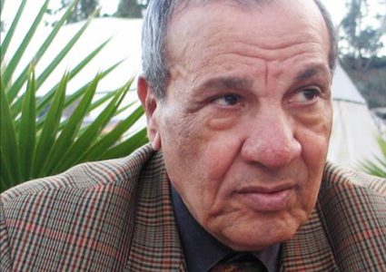 محلل سياسي: جهات سياسية تغذي "حراك الضمان"