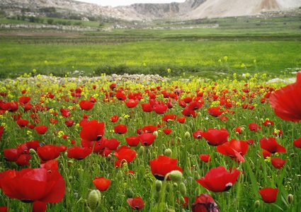 طقس الأربعاء: أجواء صافية خلال النهار باردة في الليل