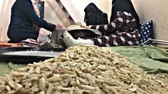 تقشير الفستق مصدر علاج ومهنة لعائلة أبو موسى