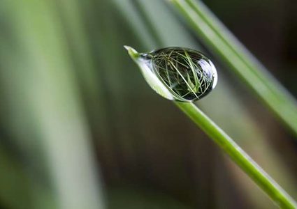 "قنبلة موقوتة" تهدد الأجيال القادمة