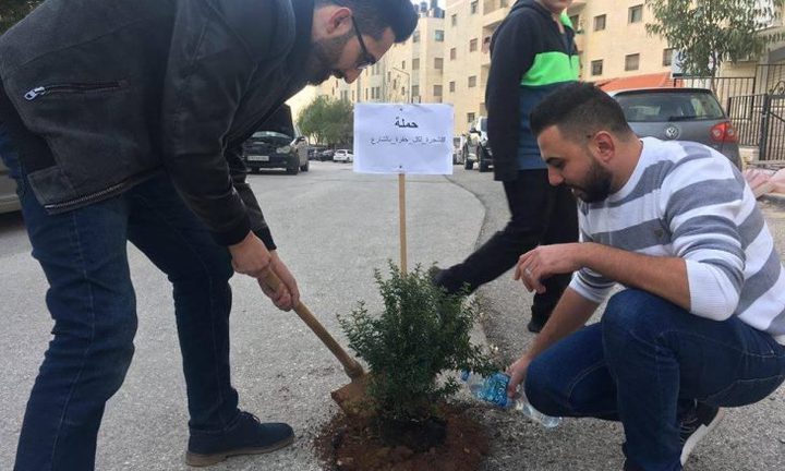 “شجرة لكل حفرة”.. مبادرة شبابية في رام الله