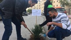 “شجرة لكل حفرة”.. مبادرة شبابية في رام الله