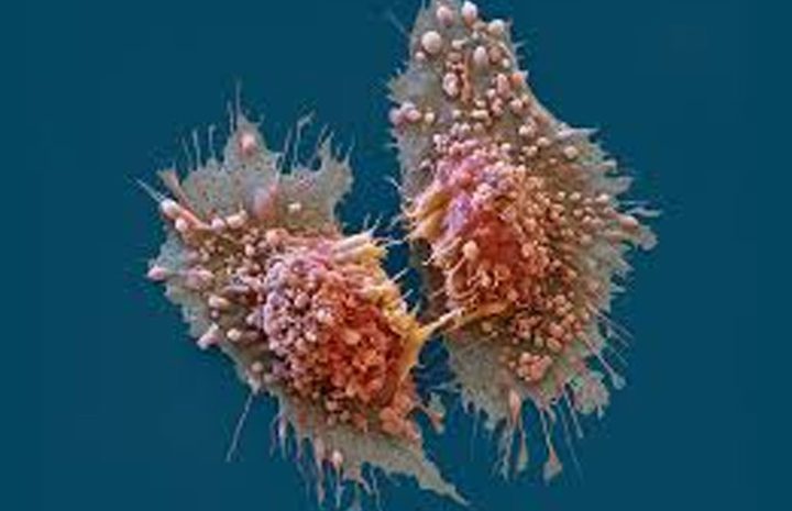 اكتشاف عقار جديد يستهدف الساعة البيولوجية للخلايا السرطانية