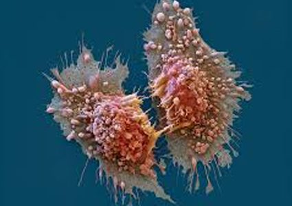 اكتشاف عقار جديد يستهدف الساعة البيولوجية للخلايا السرطانية