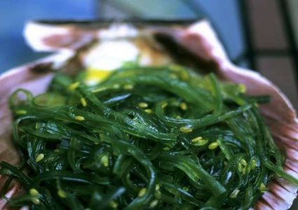 هل تضطر البشرية لتناول الحشرات بدل اللحم؟