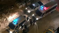 الشرطة تقبض على 5 أشخاص لتسببهم بالإزعاج في رام الله