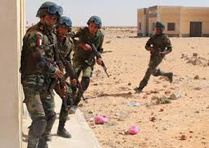 مقتل 3 مسلحين وضبط مخزن مخدرات في سيناء