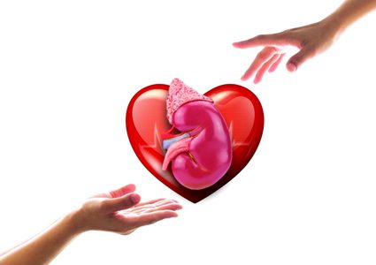 مقدسية تفوز بجائزة "أفضل بحث طبي في سويسرا" بزراعة الأعضاء"