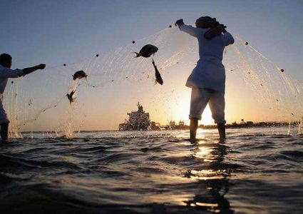 مستثمرون سعوديون يحذرون من خطر يواجه قطاع الصيد