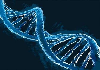 جينات "سحرية" قد تمكّن الإنسان من تجديد نفسه!