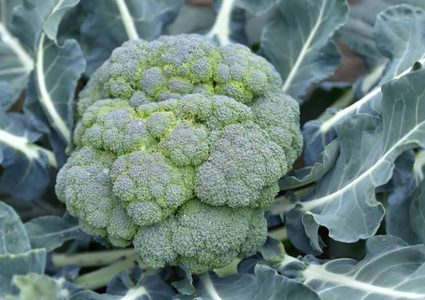 أطعمة "سحرية" تبعد النوبات القلبية وتصلب الشرايين