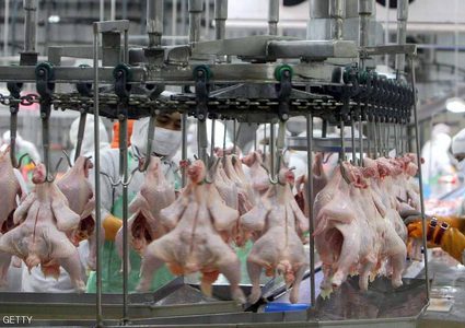 العلم يحذر من "الخطأ الفادح" قبل طهي الدجاج