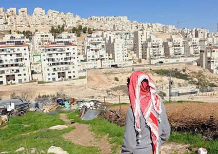 مايك لينك يدعو لإجراءات دولية حاسمة بشأن تنامي الاستيطان