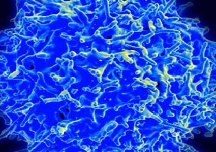 اكتشاف طريقة لحماية الجسم من السرطان