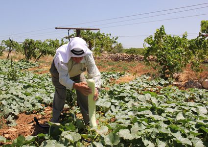 مبلغ 2.37 مليون يورو لدعم المزارعين الفلسطينيين
