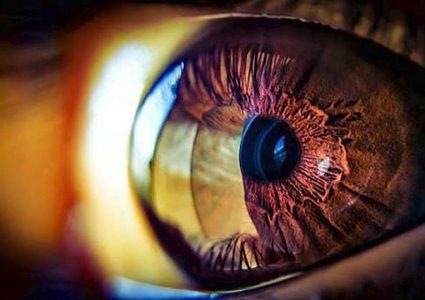 الخلايا الجذعية قد تكون مفتاح القضاء على العمى