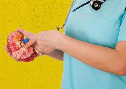 دراسة "ضخمة" تكشف أهمية وظائف الكلى لجسم الانسان