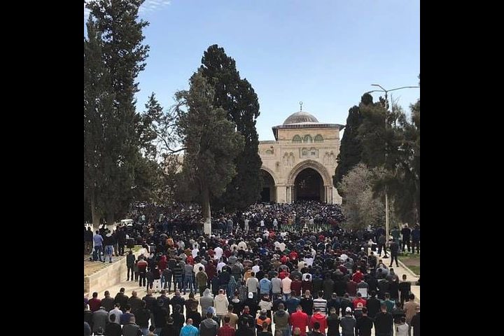 50 ألف مواطن أدوا صلاة الجمعة في المسجد الأقصى المبارك