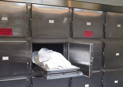 الكشف عن ملابسات مقتل مواطنة في مدينة يطا