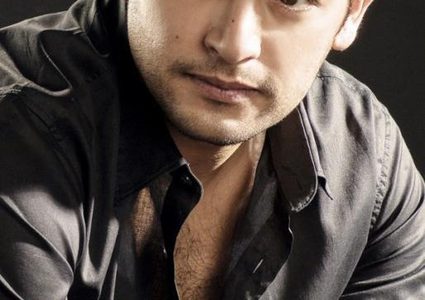 هاني سلامة: العمل مع بطلات جديدات يعطيني الحيوية