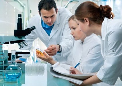 دراسة جديدة تكشف عن وجود جنسين بشريين منقرضين