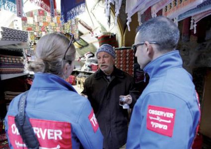 مصر تعرب عن قلقها لعدم التجديد لبعثة التواجد الدولي بالخيل