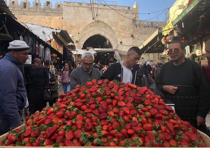 موسم الفرولة يفرض نفسه على أسواق المدينة