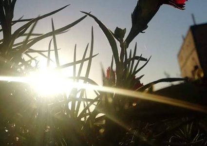 الطقس: ارتفاع على درجات الحرارة