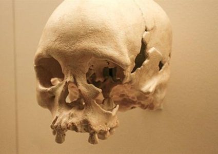 علماء يكتشفون جمجمة يعود تاريخها إلى 35 ألف سنة